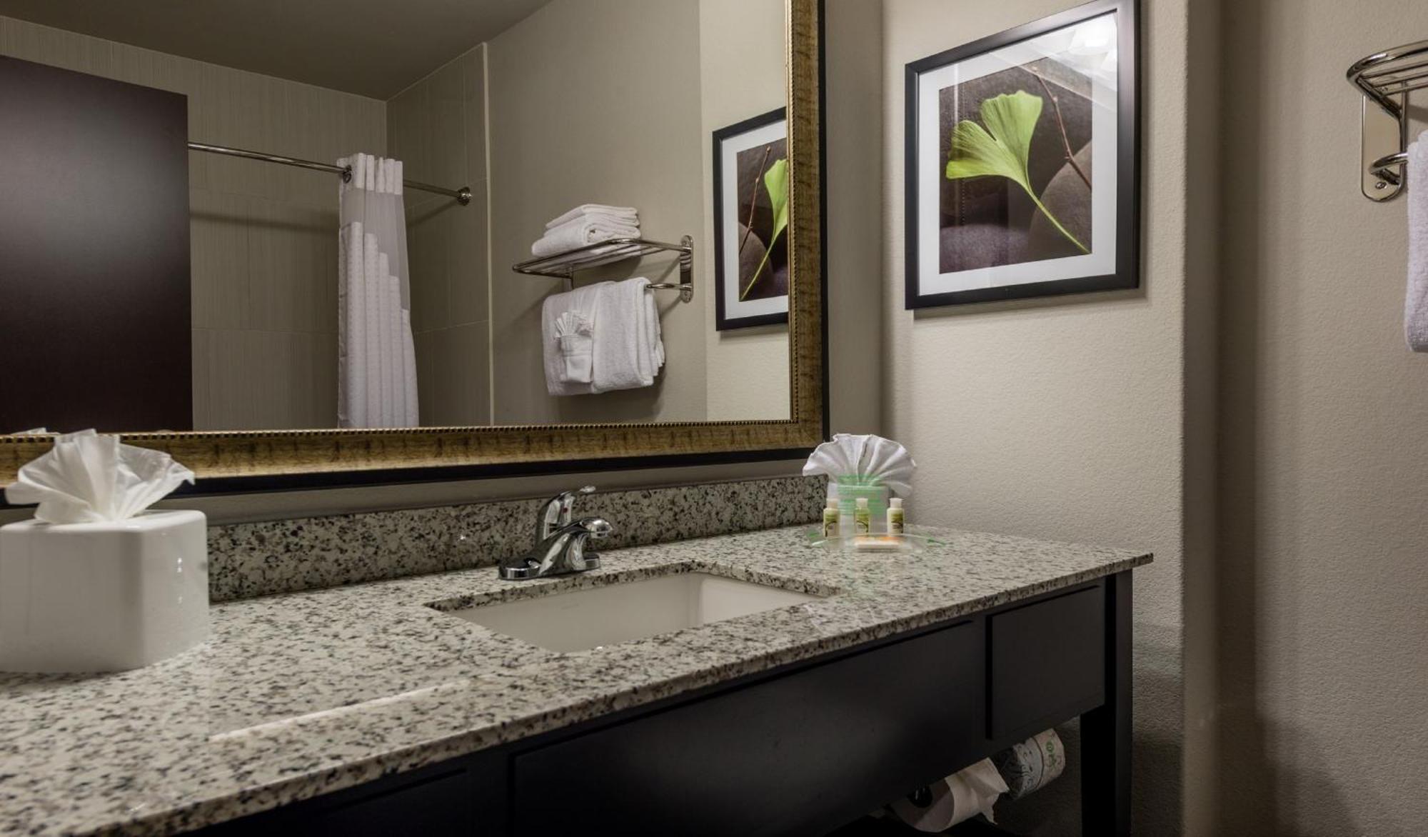 Holiday Inn Austin Airport By Ihg Ngoại thất bức ảnh